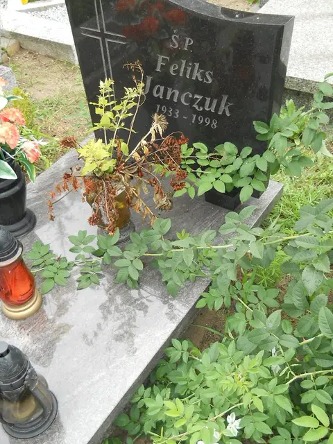 Zdjęcie grobu 22/23508