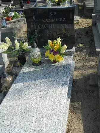 Zdjęcie grobu 9/100
