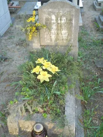Zdjęcie grobu 7b/100