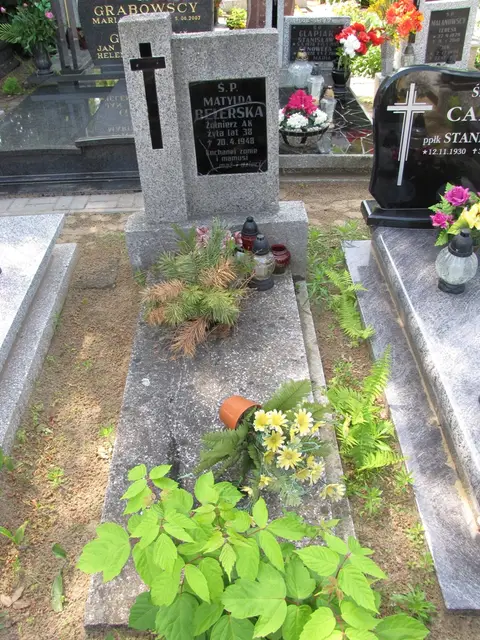 Zdjęcie grobu 14/27597