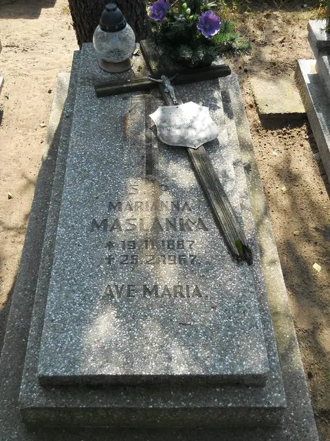 Zdjęcie grobu 18/28332