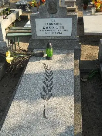 Zdjęcie grobu 9a/3