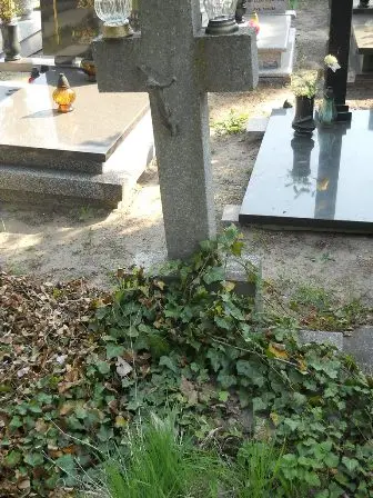 Zdjęcie grobu 29/100