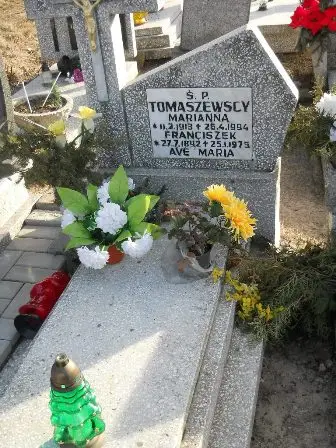 Zdjęcie grobu 100/100