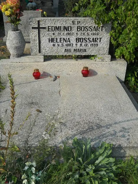 Zdjęcie grobu 18/28667