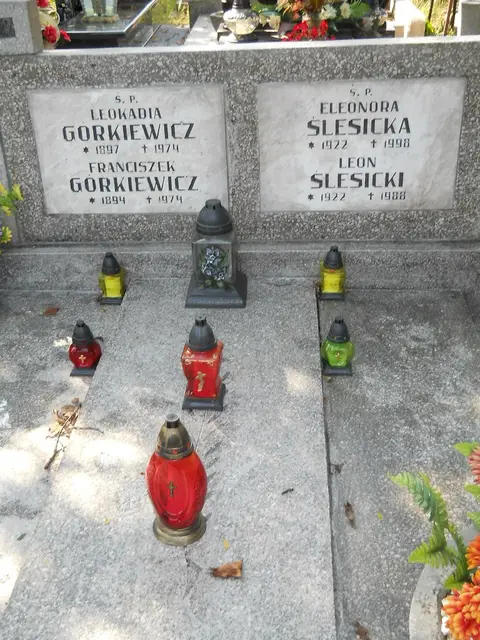 Zdjęcie grobu 14/27147