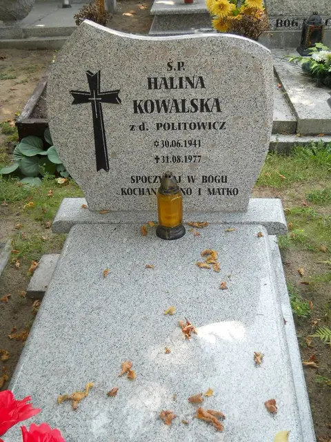 Zdjęcie grobu 14/27249