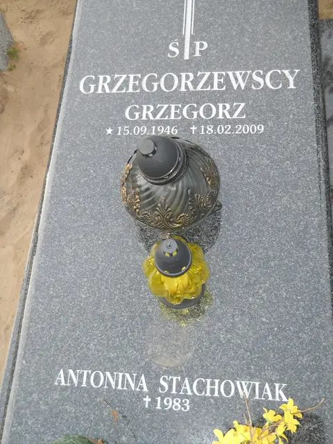 Zdjęcie grobu 7/11232