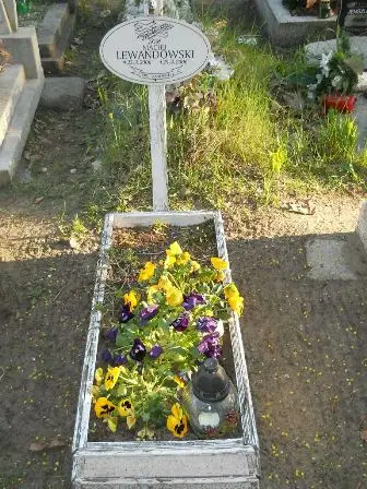 Zdjęcie grobu 7b/100