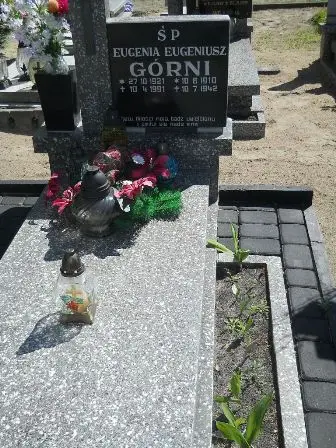 Zdjęcie grobu 46/225