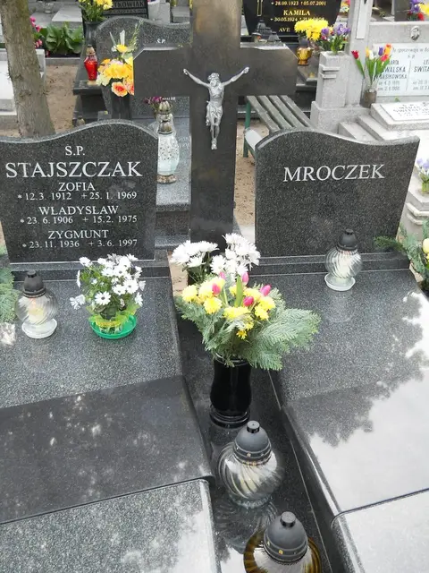 Zdjęcie grobu 8/10504