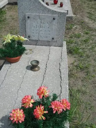 Zdjęcie grobu 25/476