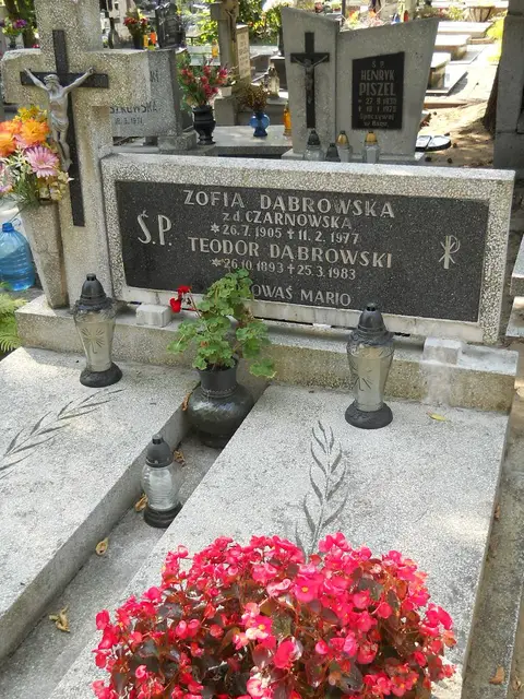 Zdjęcie grobu 19/28512