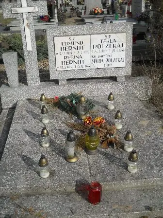Zdjęcie grobu 100