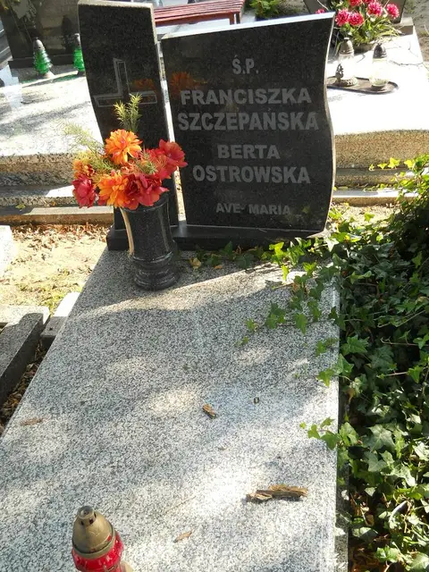 Zdjęcie grobu 14/27704