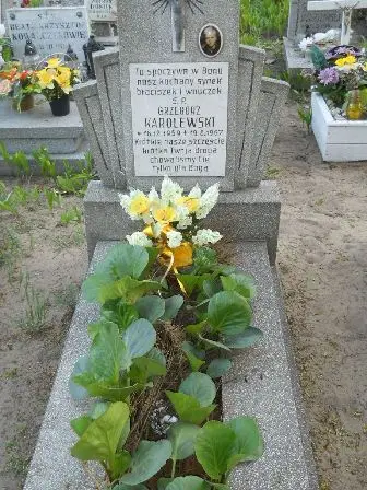Zdjęcie grobu 7c/10