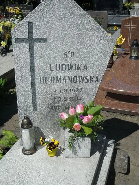 Zdjęcie grobu 8A/10237