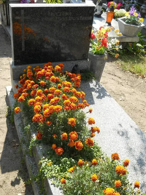 Zdjęcie grobu 14/27504