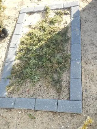 Zdjęcie grobu 100/100