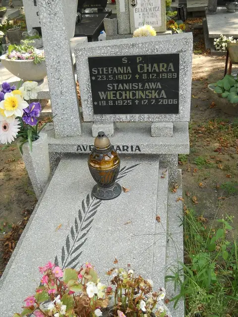 Zdjęcie grobu 19/28551