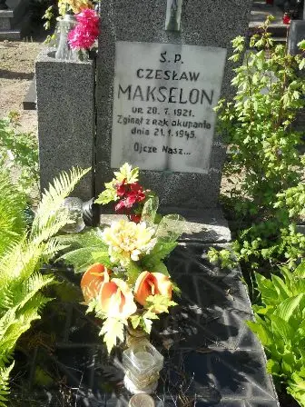 Zdjęcie grobu 24/100