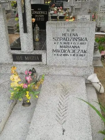 Zdjęcie grobu 33/100