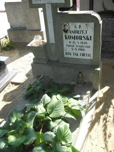 Zdjęcie grobu 18/28459