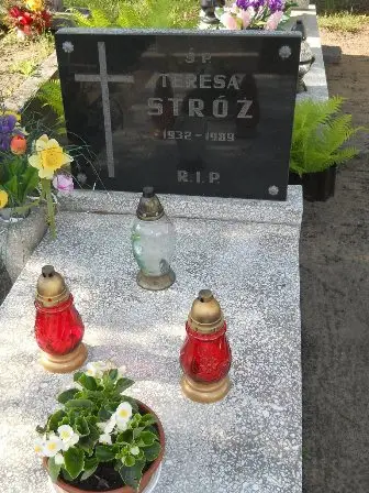 Zdjęcie grobu 20/85