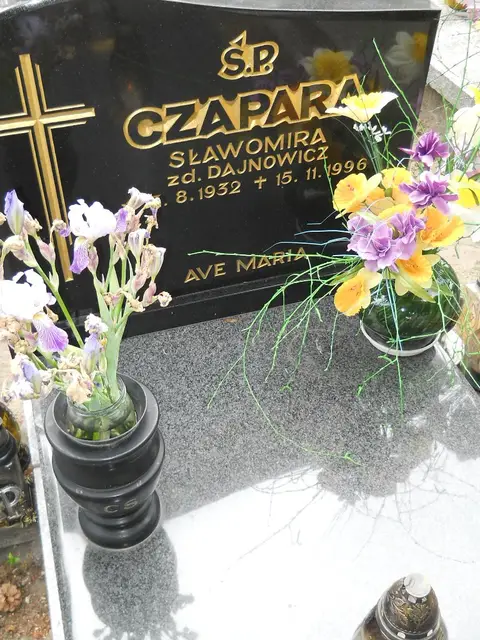 Zdjęcie grobu 7/11104