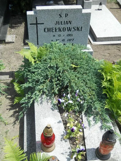 Zdjęcie grobu 7/11513
