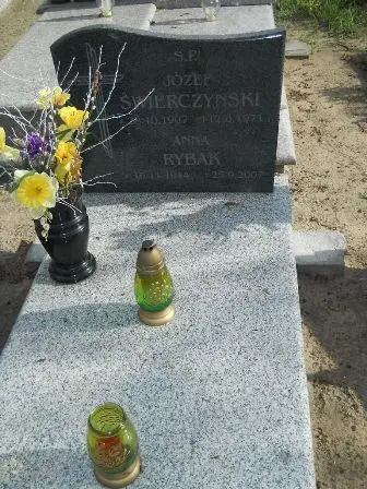 Zdjęcie grobu 9/100