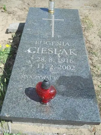 Zdjęcie grobu 28/152c
