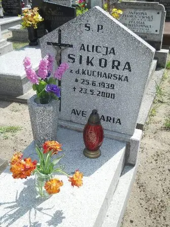 Zdjęcie grobu 25/188