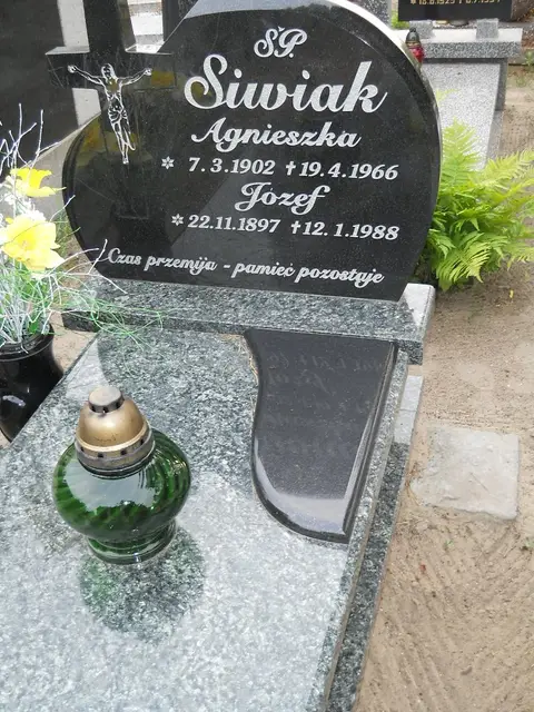 Zdjęcie grobu 7/11190