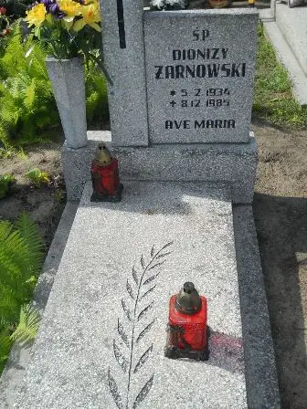 Zdjęcie grobu 20/100