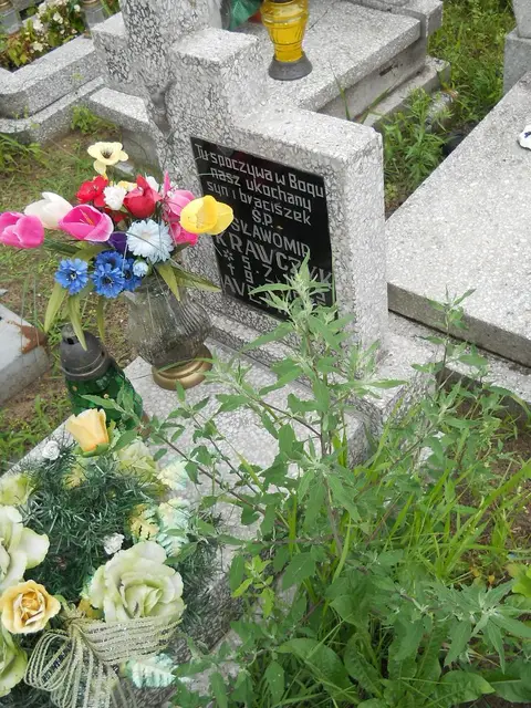 Zdjęcie grobu 21/23822