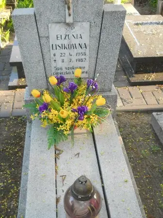 Zdjęcie grobu 7b/100