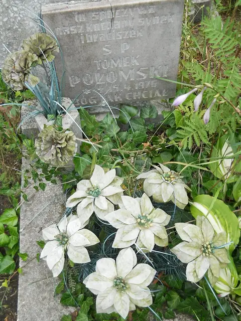 Zdjęcie grobu 21/23802