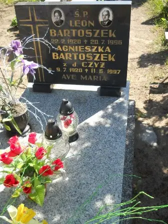 Zdjęcie grobu 46/217a
