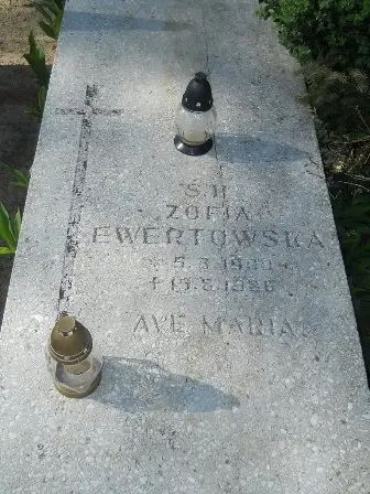 Zdjęcie grobu 24/100