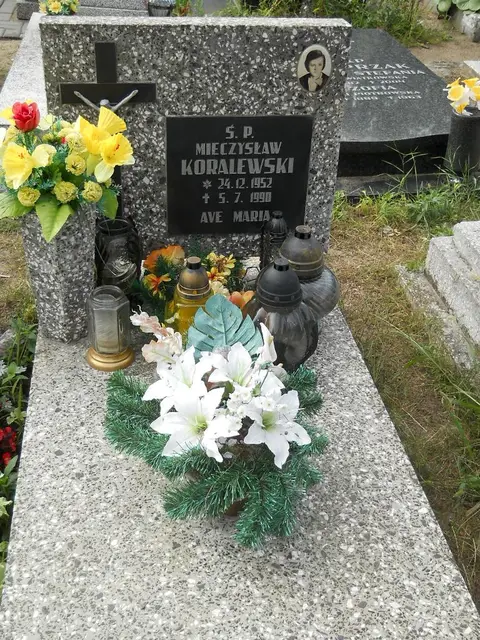 Zdjęcie grobu 11/29208
