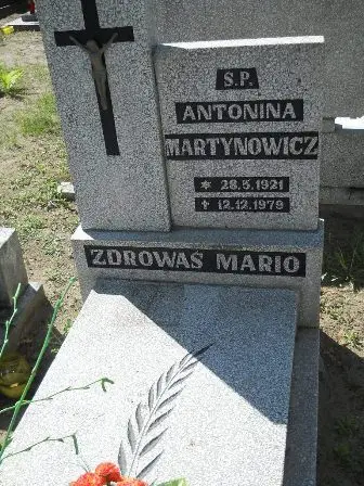 Zdjęcie grobu 35/279