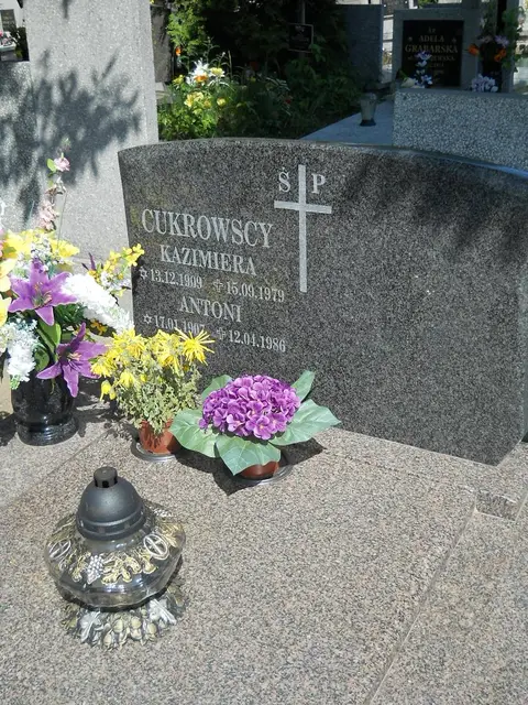 Zdjęcie grobu 7/11859