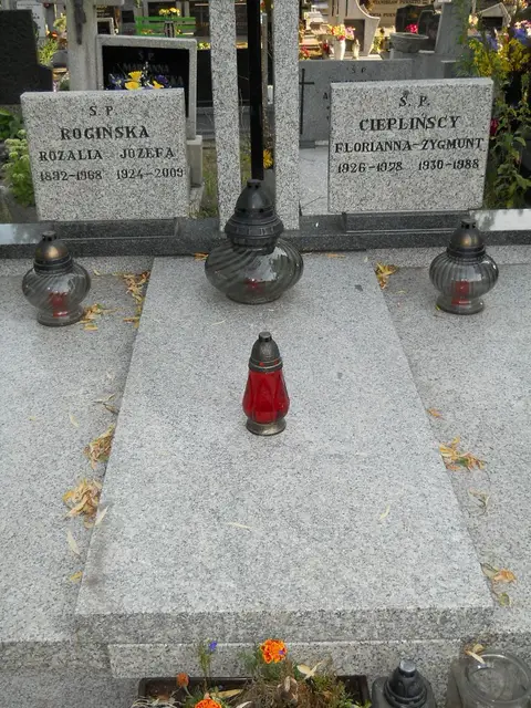 Zdjęcie grobu 14/27834