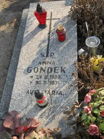 Zdjęcie grobu 2/272