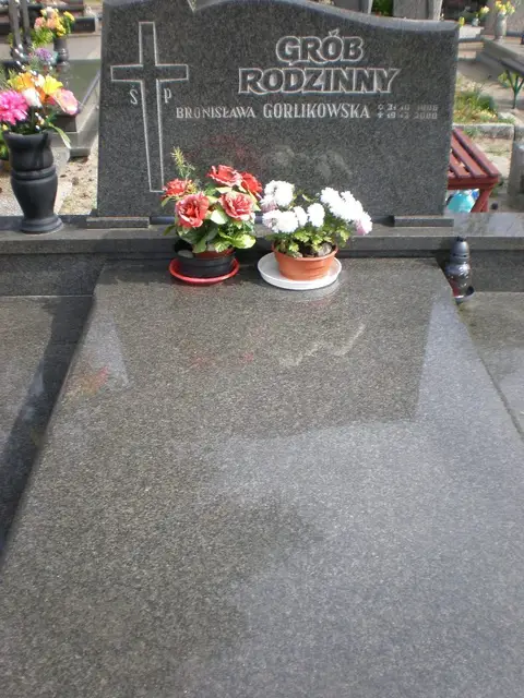 Zdjęcie grobu 8B/20124