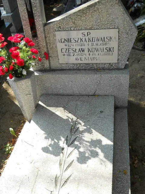 Zdjęcie grobu 14/27152