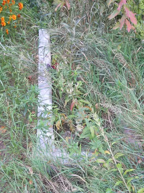 Zdjęcie grobu 14/25982