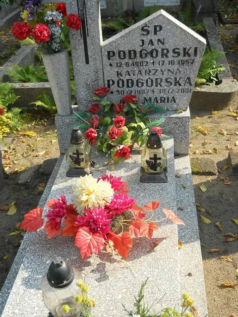 Zdjęcie grobu 15/26593