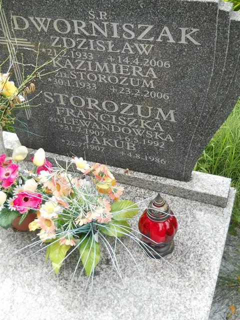 Zdjęcie grobu 5/22719